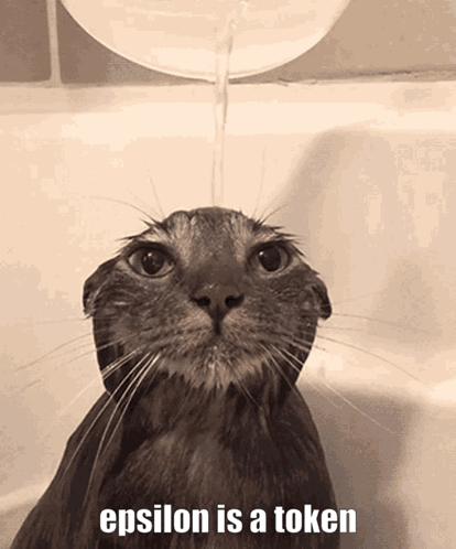 Cat Taking Bath Epsilon Is a Token