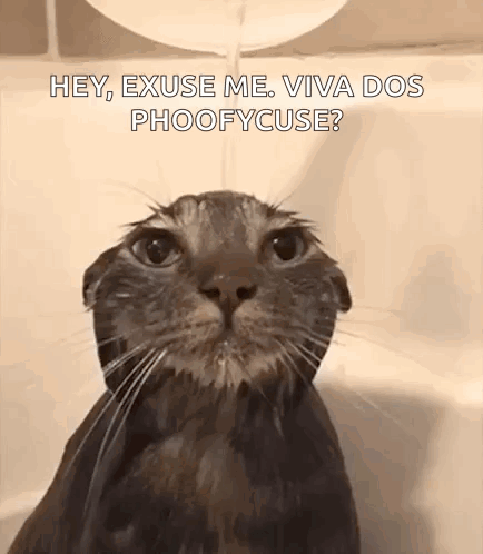 Cat Taking Bath In Bathtub GIF