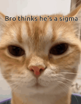 Cat Thinks He's A Sigma Meme GIF
