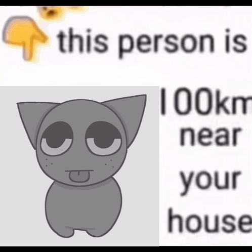 Cat This Person Is 100 Km Near Your House GIF