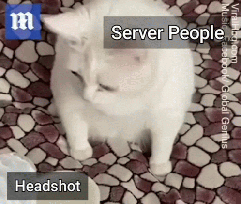 Cat Throw Up Face Headshot GIF