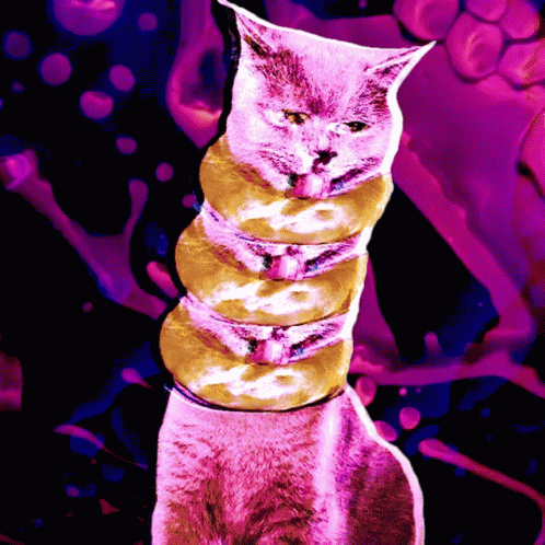 Cat Tied Up With 3 Bagel GIF