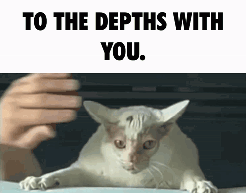 Cat to the Depths With You