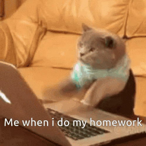 Cat Typing Fast Homework GIF