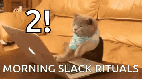 Cat Typing Morning Slacker Rituals GIF
