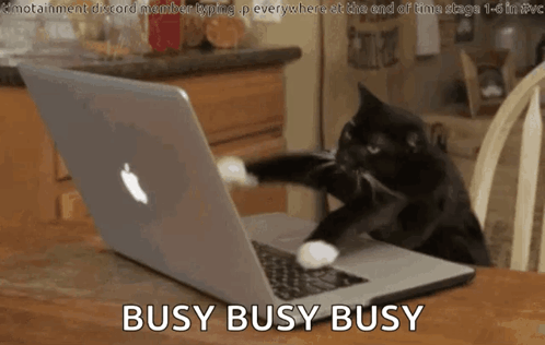 Cat Typing On Laptop Busy Busy Busy GIF