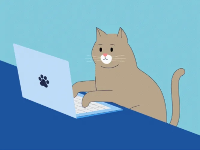 Cat Typing