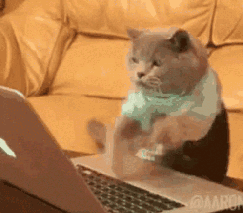 Cat Typing On Laptop Meow GIF