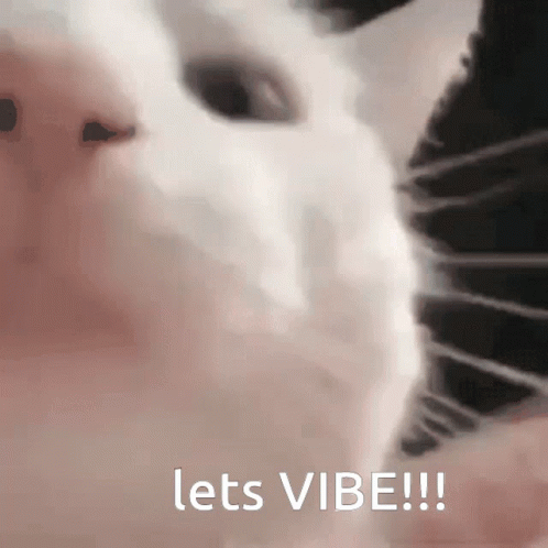 Cat Vibing Let's Vibe GIF