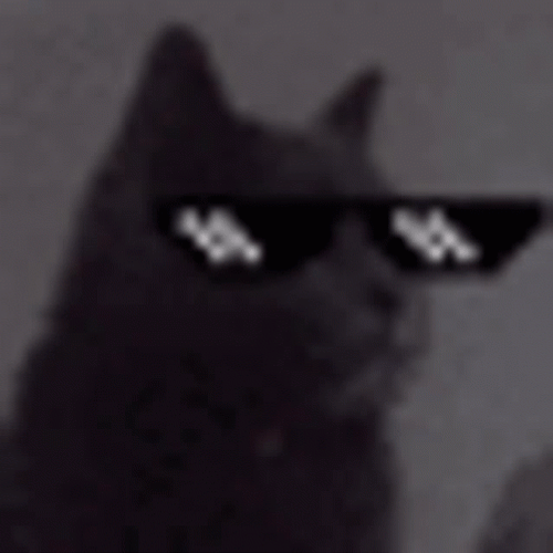 Cat Vibing Wearing Cool Glasses GIF