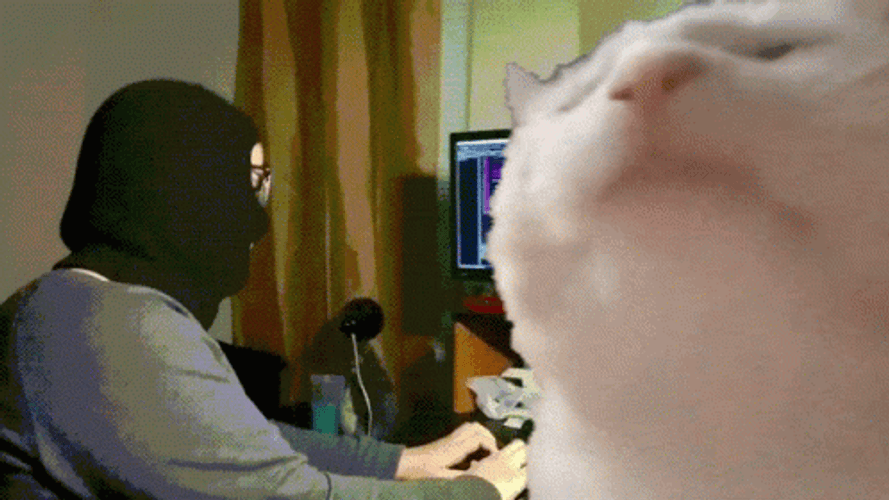 Cat Vibing With A Masked Man In The Back GIF