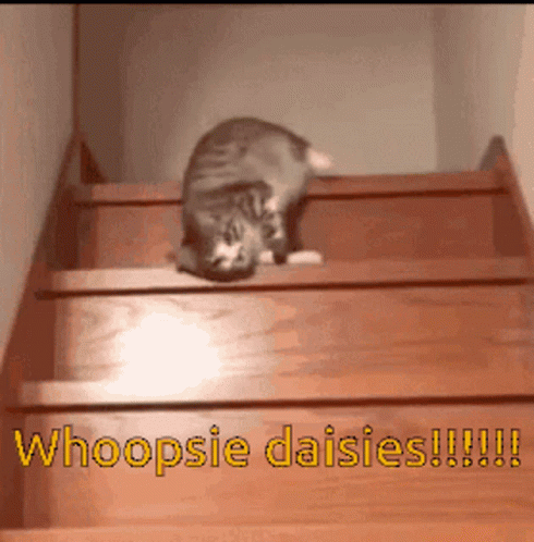 Cat Walking Down Stairs Whoopsie Daisies