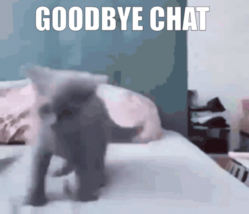 Cat Walking On Bed Goodbye Chat GIF