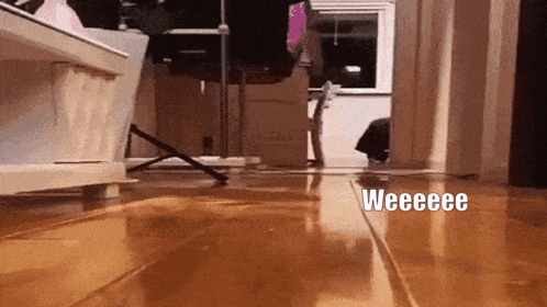 Cat Walking on Wooden Floor Saying Weeeee