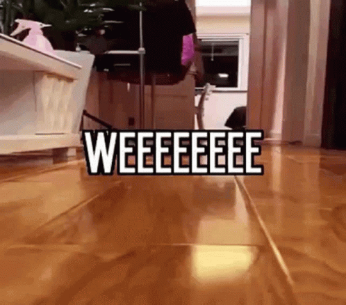 Cat Walking on Wooden Floor Weee