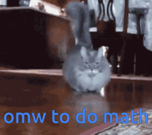 Cat Walking on Wooden Floor With Omw to Do Math