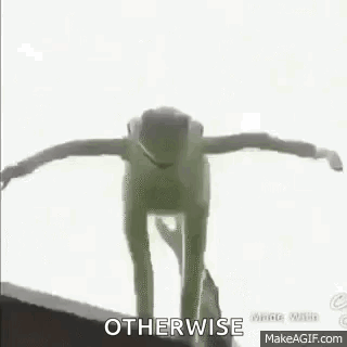 Cat Walking Through Living Room GIF