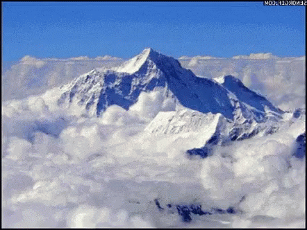 Cat Walking Through Snowy Mountains GIF