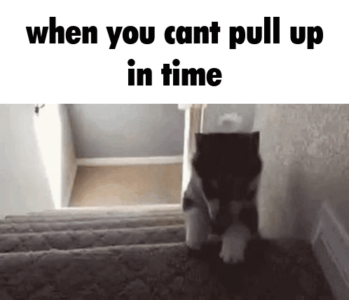 Cat Walking Up Stairs When You Cant Pull Up