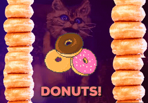 Cat Want To Eat Donuts GIF