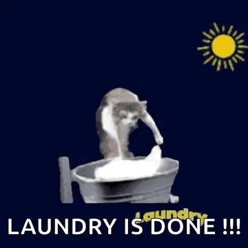 Cat Washing Clothes in Bucket Laundry Is Done