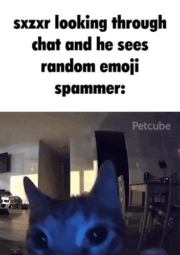 Cat Watching Emoji Spammer In Chat GIF
