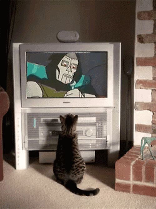 Cat Watching Mf Doom On TV GIF