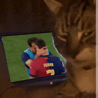Cat Watching TV with Man in Blue Vest