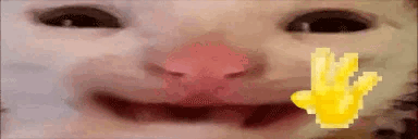 Cat Waving Yellow Paws Smiling GIF