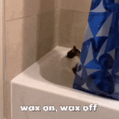 Cat Wax On Wax Off In Bath Tub GIF
