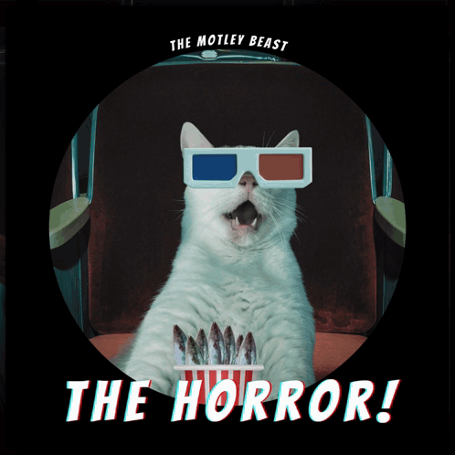 Cat Wearing 3D Glasses Eating Popcorn The Horror