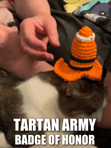 Cat Wearing Crocheted Hat Tartan Army Badge Of Honor GIF