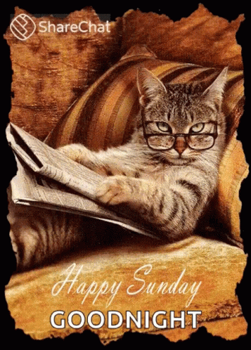 Cat Wearing Glasses Reading Newspaper