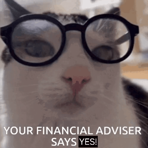 Cat Wearing Glasses Says Yes GIF