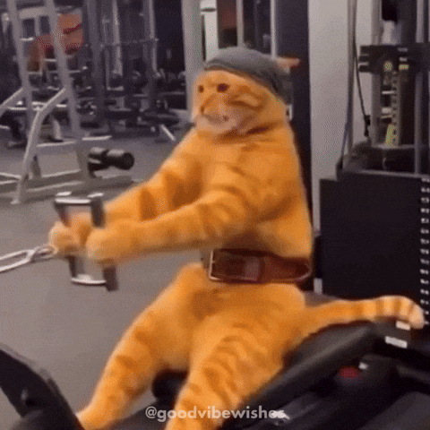Cat Wearing Hat and Belt Riding Machine