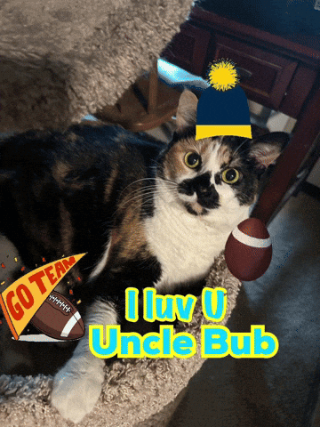 Cat Wearing Hat And Holding Football I Love U Uncle Bub GIF