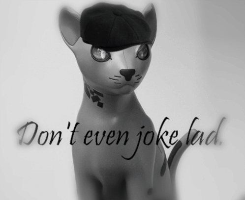 Cat Wearing Hat Saying Don't Even Joke Lad