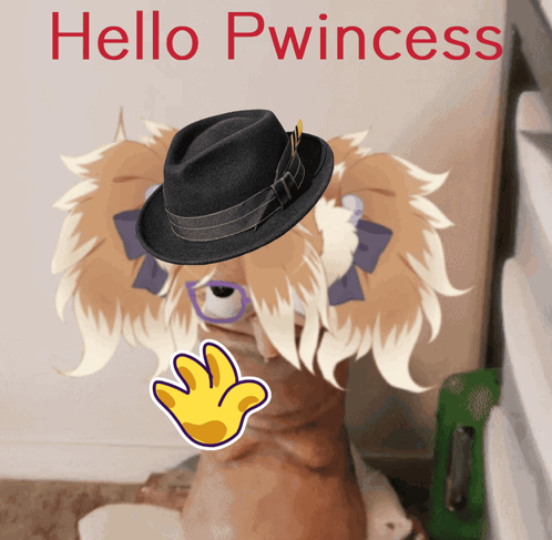 Cat Wearing Hat Saying Hello Princess GIF