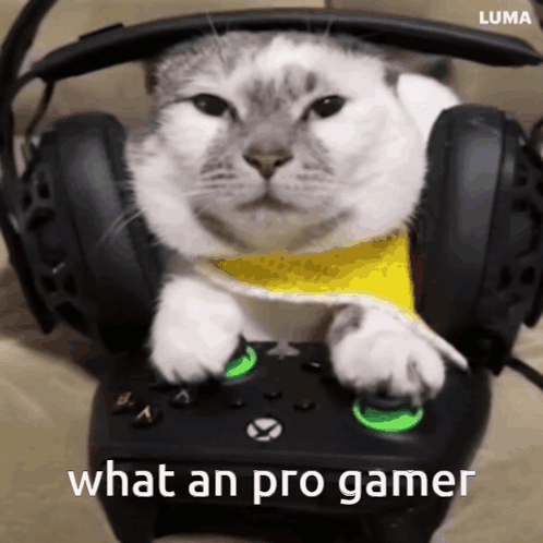 Cat Wearing Headphones Playing Video Game