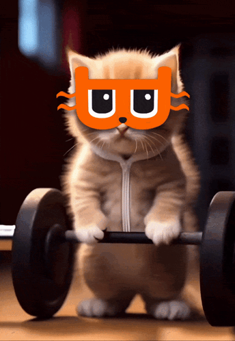 Cat Wearing Mask Holding Barbell