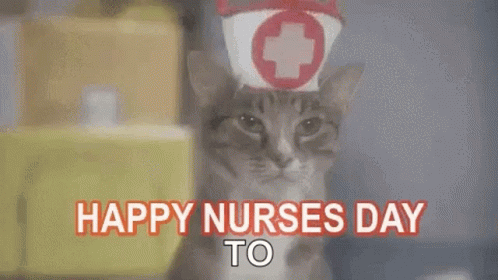 Cat Wearing Nurse Hat and Cap