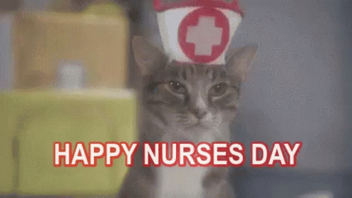Cat Wearing Nurse Hat Happy Nurses Day