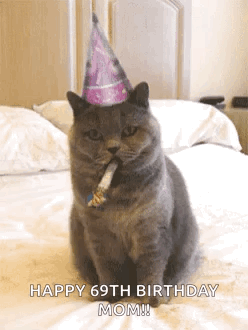 Cat Wearing Party Hat Blowing Horn