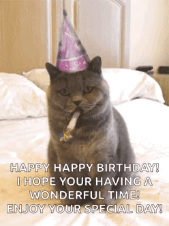 Cat Wearing Party Hat Blowing Party Horn
