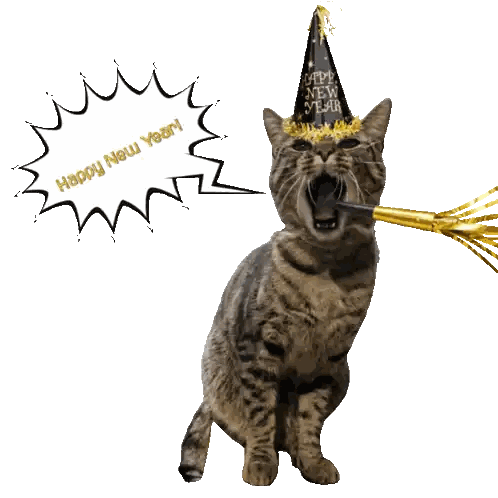Cat Wearing Party Hat Happy New Year
