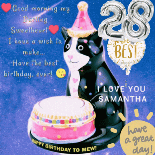 Cat Wearing Party Hat With Cake GIF