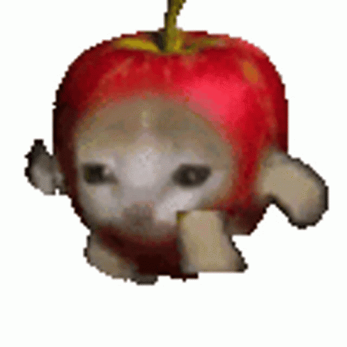 Cat Wearing Red Apple Hat Eating Banana GIF