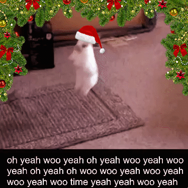 Cat Wearing Santa Hat Surrounded by Christmas Trees