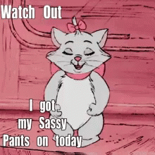 Cat Wearing Sassy Pants