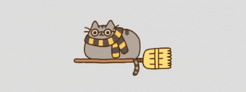 Cat Wearing Scarf and Glasses Laying on Broom